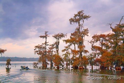 Heading Out_25350.jpg - Lake Martin in the Cypress Swamp Preserve photographed near Breaux Bridge, Louisiana, USA.